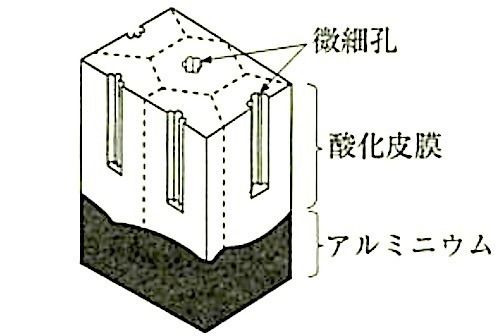 図14.2.2_陽極酸化皮膜の模型図.jpeg