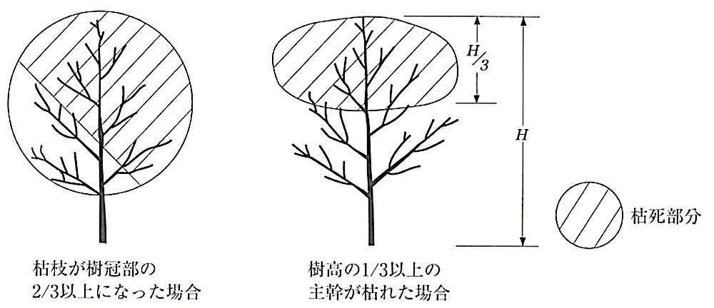 図23.3.6_枯補償の判断.jpeg