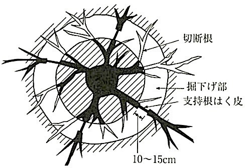 図23.3.7_溝掘り式根回し(平面図).jpeg