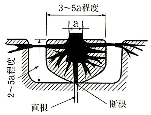図23.3.7_溝掘り式根回し(断面図).jpeg